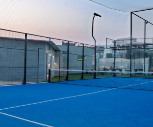 tiger 5 padel (7)